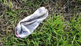 Я нашла вонючие носки на станции