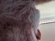 SeattleDad and BearfootHunter in Bed and one of us gets bred!
