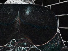 Sexy Femboy Puts Dick Ring On, Jerks Off And Big Cums