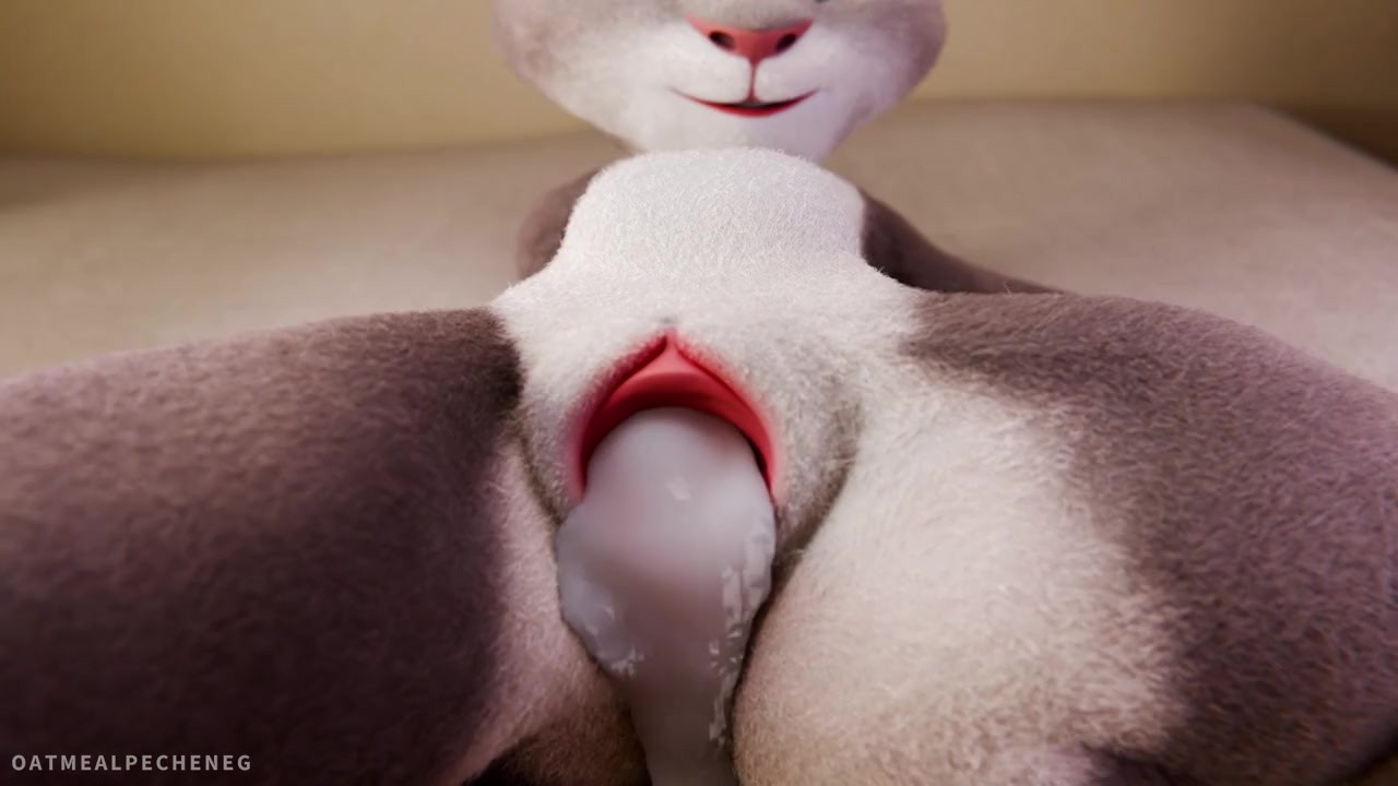 Porn Picture