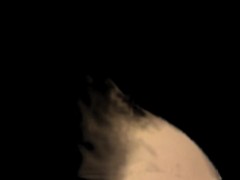 Doggy without background - Screenshot 16 of 16 - Doggy