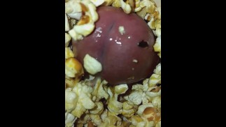 Поп идет ласка