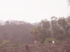 Sunshine - Screenshot 13 of 16 - 21 Naturals