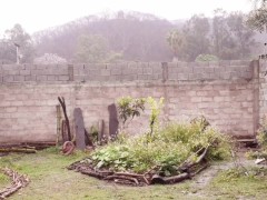 Sunshine - Screenshot 14 of 16 - Natural