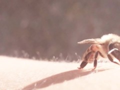 Sunshine - Screenshot 2 of 16 - Natural