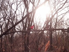 Sunshine - Screenshot 6 of 16 - Natural