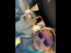 Rocking out with the dogs