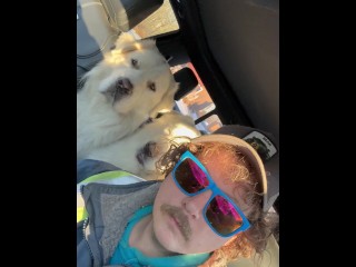 Веселимся с собаками