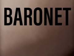 MONARCH-BDSM(BARONET)13.74 - Screenshot 4 of 16 - Art