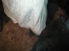 සැපකට ට්‍රයි කරන ගමන්
