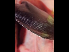 I swallow my transparent socks and butterfly eggs =]