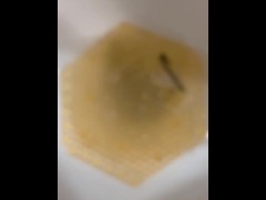 Urinal Pee - Dane Coxx - Screenshot 1 of 16 - Urinal