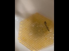 Urinal Pee - Dane Coxx - Screenshot 11 of 16 - Urinal