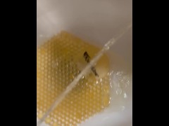 Urinal Pee - Dane Coxx - Screenshot 4 of 16 - Public Urinal