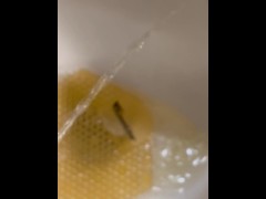 Urinal Pee - Dane Coxx - Screenshot 6 of 16 - Urinal