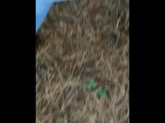 Pipi dans les bois