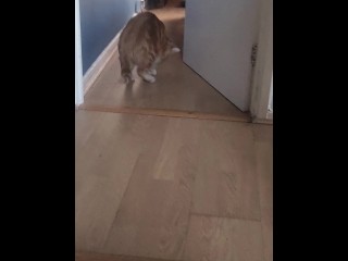 Писает по утрам