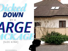 Size Kink Audio - Delivery Driver CUMS inside and Dicks You Down