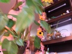 Muted Nude Plant Collection