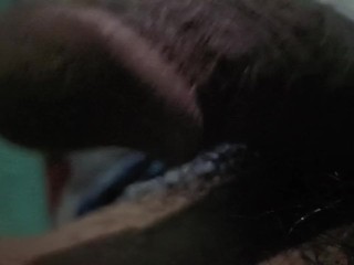 Testrun