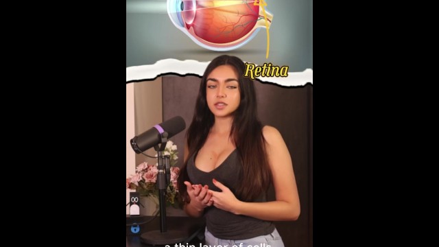 Как ваши глаза видят мир 🌎👁️