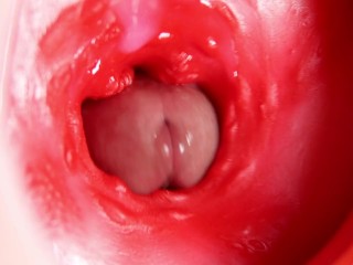 This Beautiful Pussy is Pulsating and Squeezing my Cock! Camera inside the Hole!
