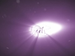 Poolside Seduction / TransAngels - Screenshot 16 of 16 - Transangels