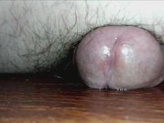 Humping The Floor Feels Amazing