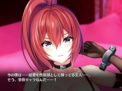 【H GAME】Role Player とろろ♡Hアニメーション⑬ 3P エロアニメ