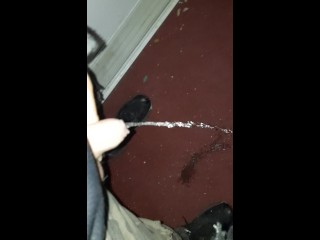 I Piss in Random Appartment Building