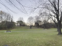 STOP WATCHING! Go touch some grass with me :)