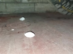 Model Car / Truck Crush, destroyed a giants dirty boot 👣👣