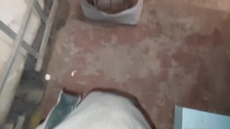 Bread Crush in Trainers. With good footprint 👣👣