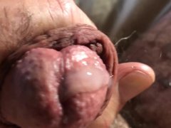 OhTrevors LATE NIGHT STROKE