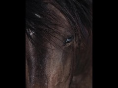 model - Screenshot 14 of 16 - Upload