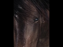 model - Screenshot 5 of 16 - Test