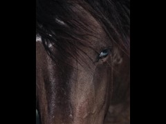 model - Screenshot 9 of 16 - Test