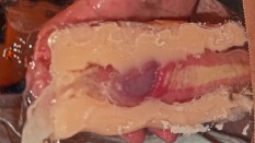 fleshlight