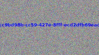 Ich sah, ich siegte, aber ich kam nie