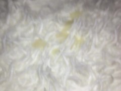 Rough pre-Thanksgiving breeding session with my old guy neighbor