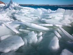 Daily Test Tagging almodel96