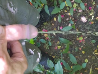 Садовник мочится #1