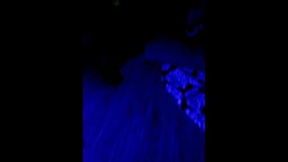 Развлечения Blacklight