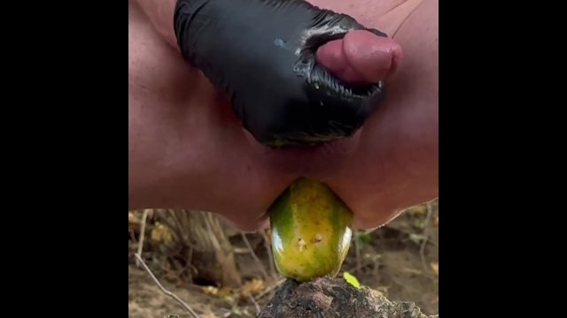 Pickle 🥒 pounding my pussy