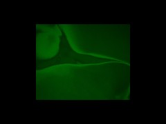 Step sis wants to fuck with night vision on😎👽