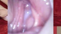 里面的屄。硬盘