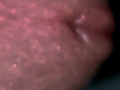 an excited penis and a beautiful very very very close up!!!