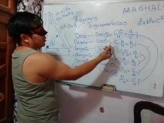 Тригонометрия: Тригонометрические соотношения