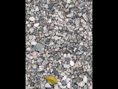 Peeing on Neighbors Yard - Screenshot 16 of 16 - Dane Coxx