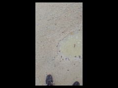 I piss in a puddle while out on a run